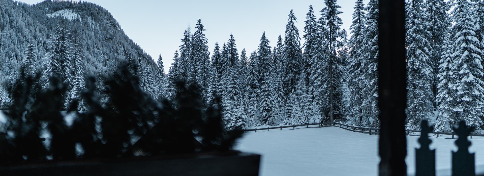 View from the balcony of the Superior Chalet in winter