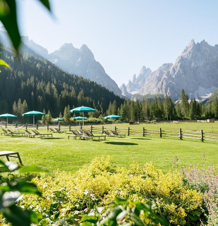 The garden