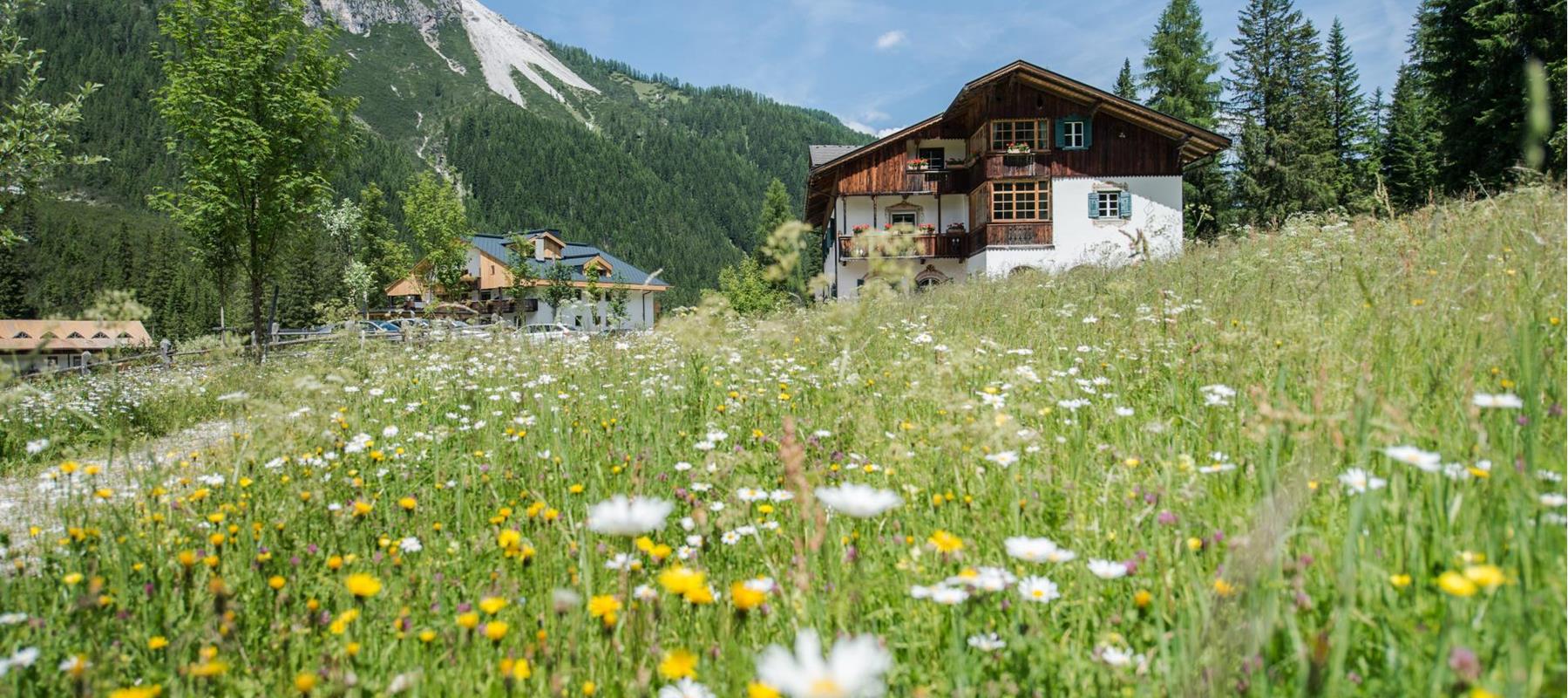 dolomitenhof-sommer-aussenansicht-02