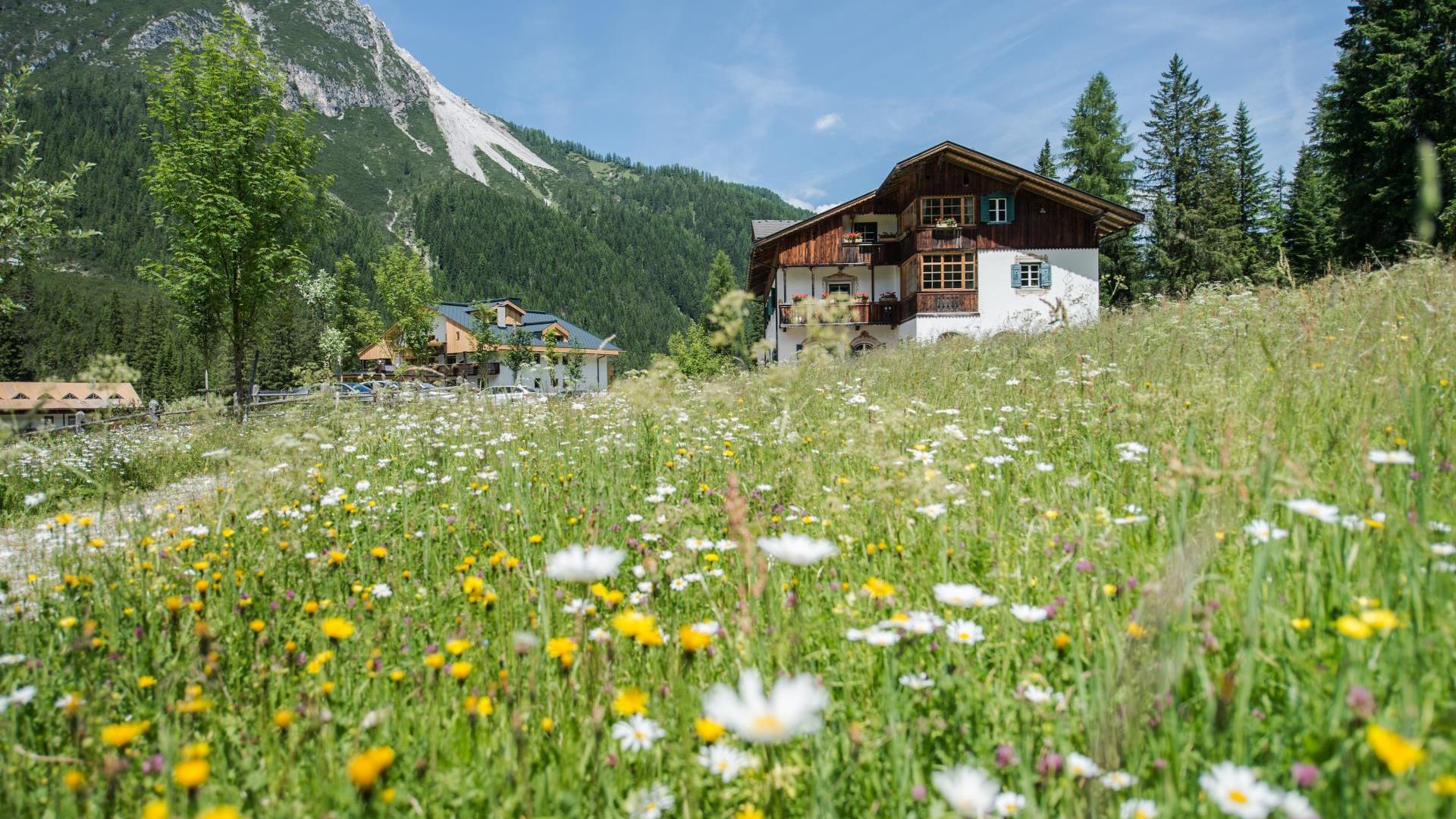Hotel Dolomitenhof during the summer