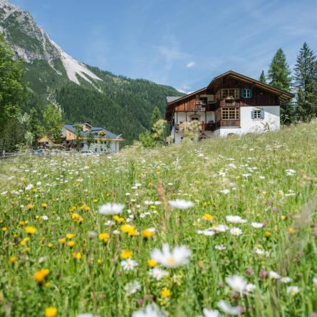 Hotel Dolomitenhof in estate