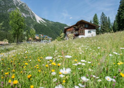 Der Dolomitenhof im Sommer