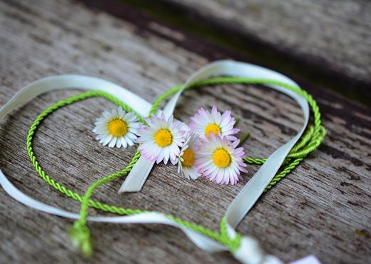 Margeriten