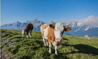 423-landschaftsommer-tourismusvereinsexten-haraldwisthaler-5