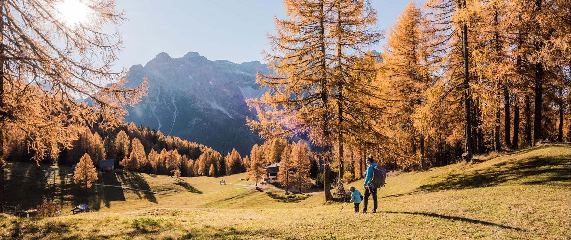 Herbst