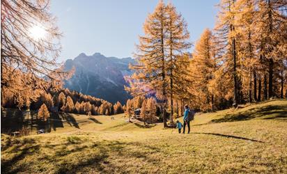 Herbst