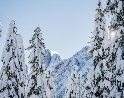 -www-wisthaler-com-20-12-dolomitenhof-ausen-hw69056