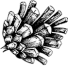 Drawing of a pine cone