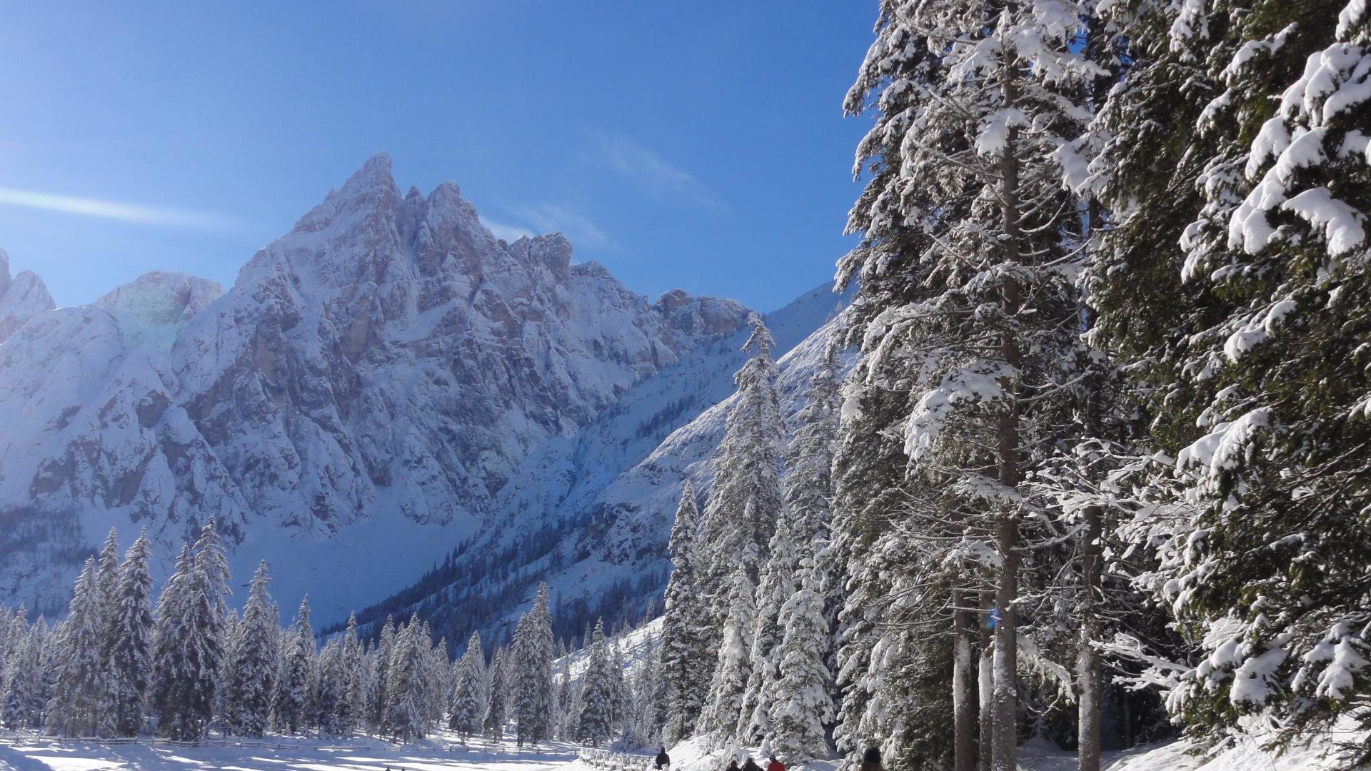 Winterwandern